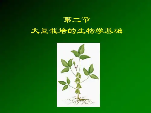 大豆栽培课件2——大豆栽培的生物学基础