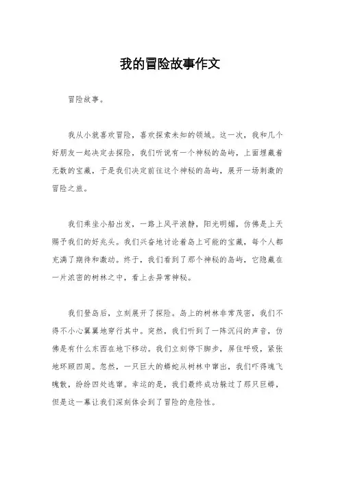 我的冒险故事作文