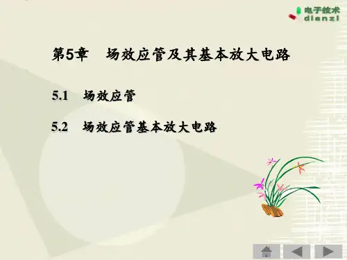 第5章--场效应管及其基本放大电路分析PPT课件