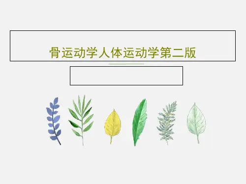 骨运动学人体运动学第二版共104页