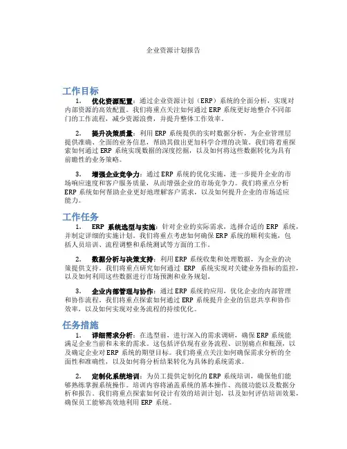 企业资源计划报告