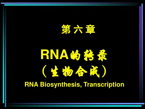 第06章RNA转录与转录后加工ppt课件