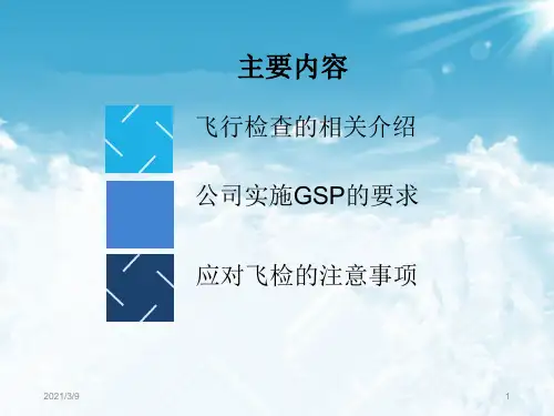 飞行检查应对策略PPT课件