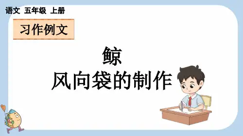 习作例文说明文《鲸》和《风向袋的制作》【新课标版】五年级上册语文