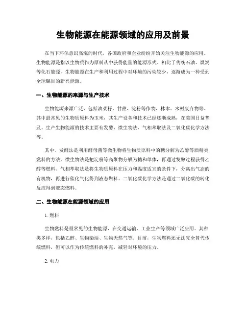 生物能源在能源领域的应用及前景