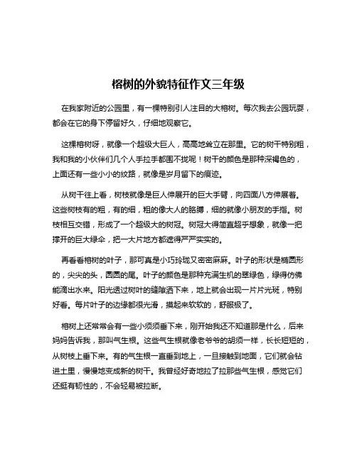 榕树的外貌特征作文三年级