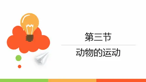 2.3动物的运动课件-济南版生物七年级上册