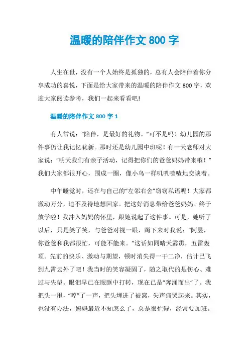 温暖的陪伴作文800字