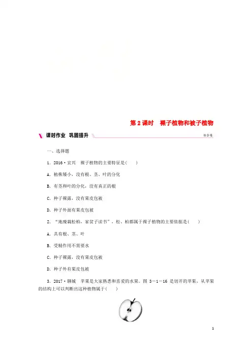 安溪县一中七年级生物上册 第三单元 第一章 第二节 种子植物 第2课时 裸子植物和被子植物练习 新人