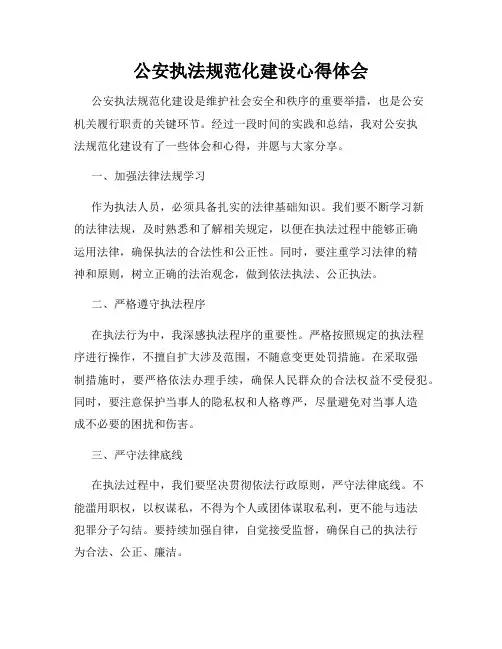 公安执法规范化建设心得体会