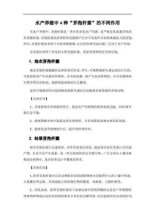 水产养殖中4种“芽孢杆菌”的不同作用