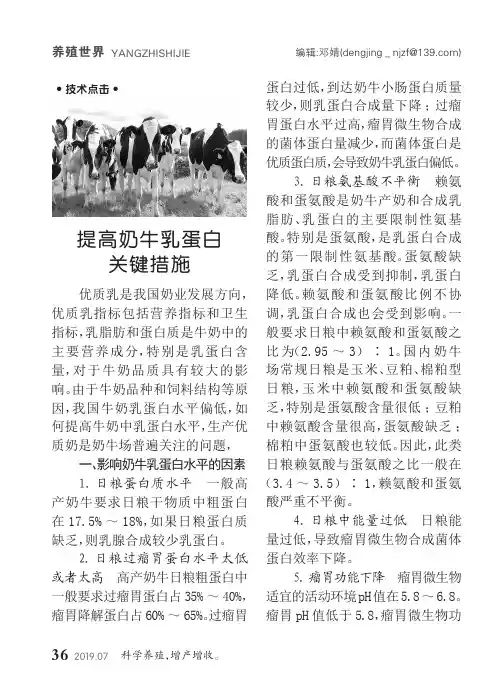 提高奶牛乳蛋白关键措施