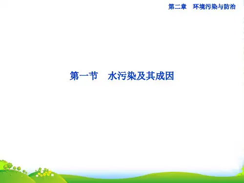 高中地理 第二章第一节水污染及其成因课件 新人教选修6