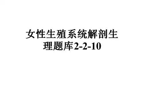 女性生殖系统解剖生理题库2-2-10