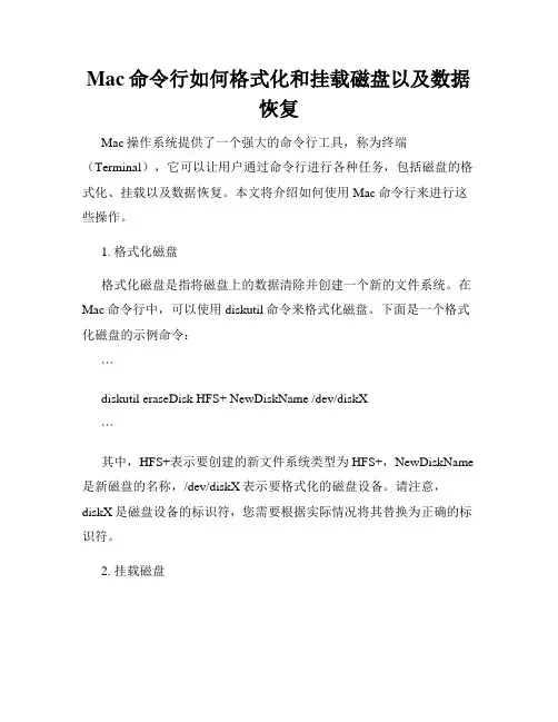Mac命令行如何格式化和挂载磁盘以及数据恢复