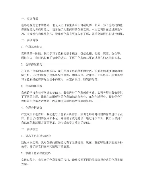 色彩实训报告两千字
