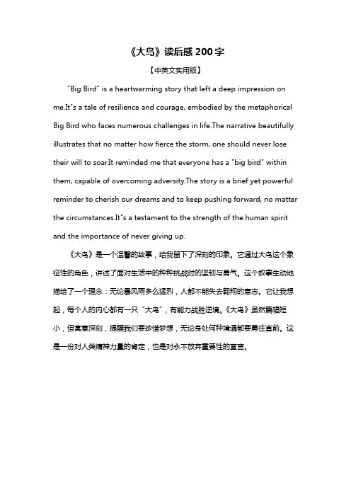 《大鸟》读后感200字