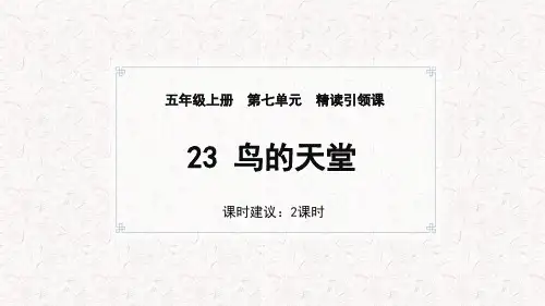 23.《鸟的天堂》课件(共44张PPT).ppt