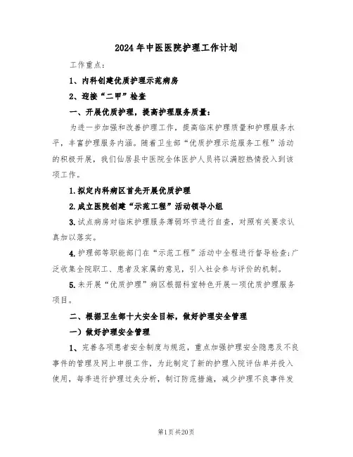 2024年中医医院护理工作计划(6篇)