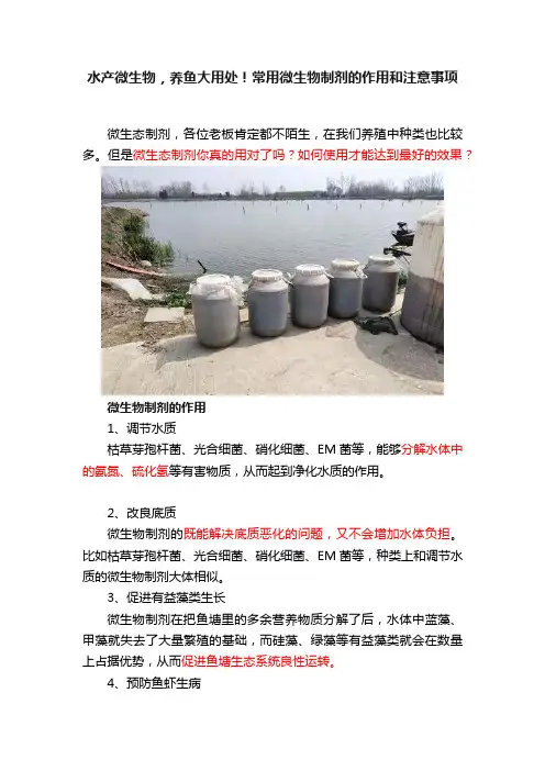 水产微生物，养鱼大用处！常用微生物制剂的作用和注意事项