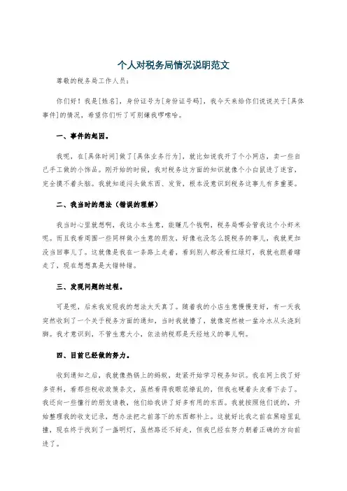 个人对税务局情况说明范文