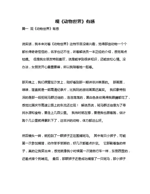 作文《观《动物世界》有感》