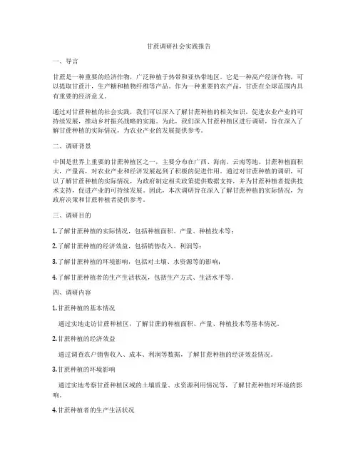 甘蔗调研社会实践报告