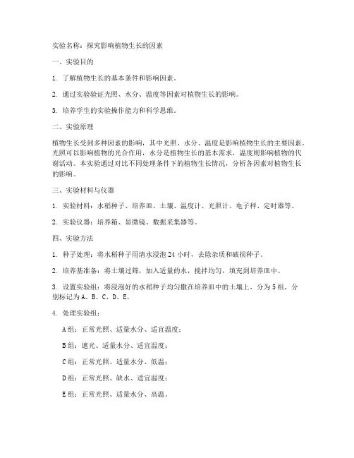 实验报告内页