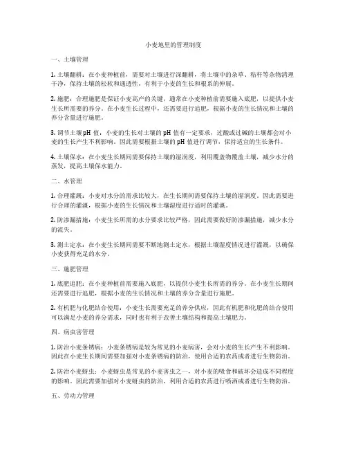 小麦地里的管理制度
