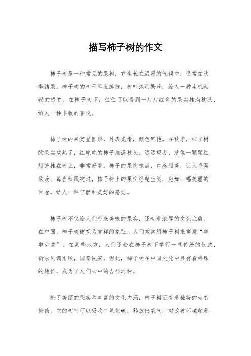 描写柿子树的作文
