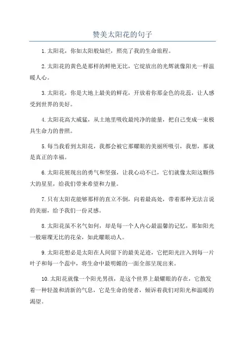 赞美太阳花的句子