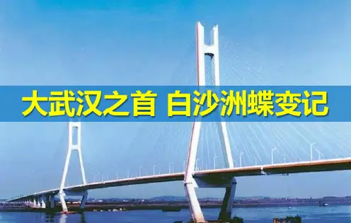 白沙洲区域介绍