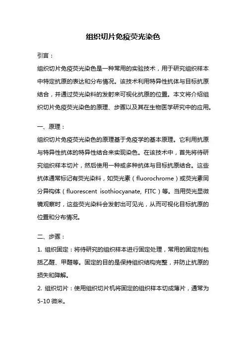 组织切片免疫荧光染色