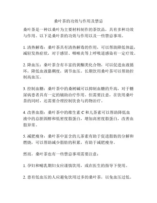 桑叶茶的功效与作用及禁忌