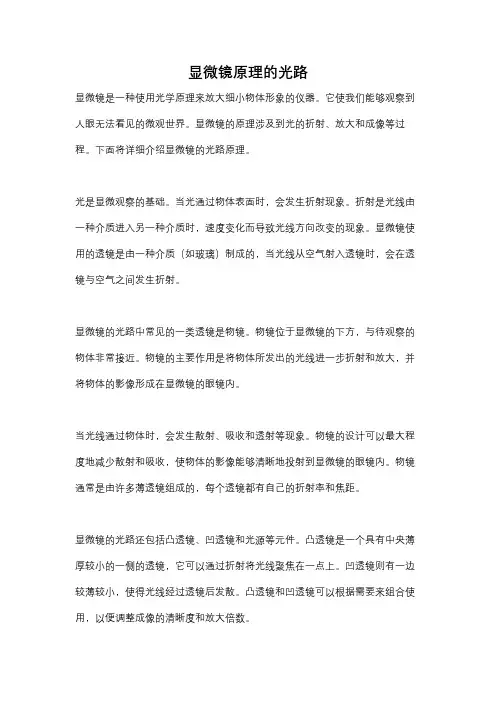 显微镜原理的光路