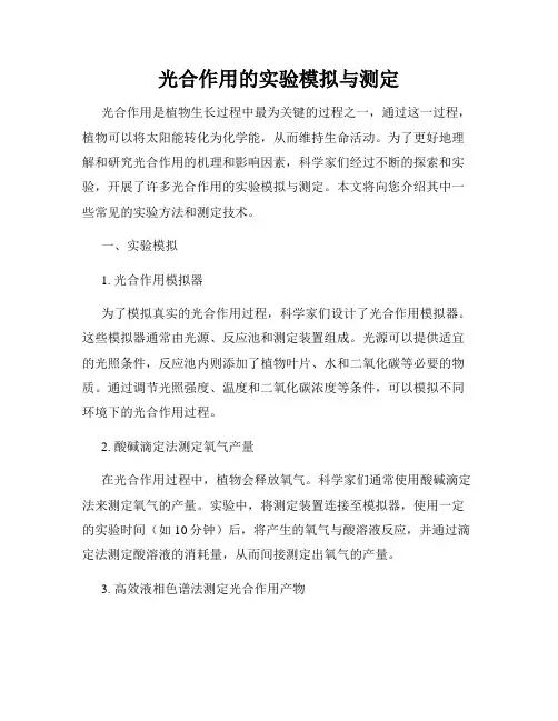 光合作用的实验模拟与测定