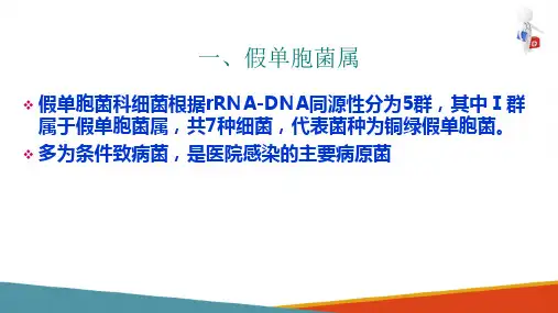 革兰阴性需氧和兼性厌氧性杆菌鉴定—假单胞菌属(微生物检验课件)