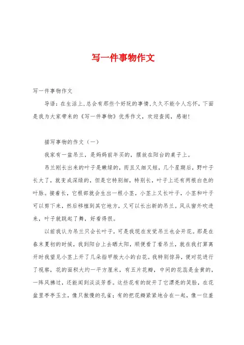 写一件事物作文
