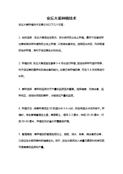 安丘大姜种植技术