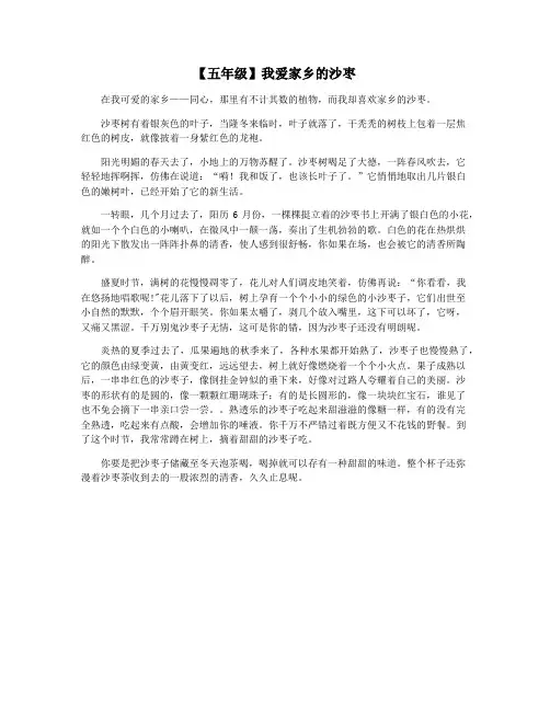【五年级】我爱家乡的沙枣