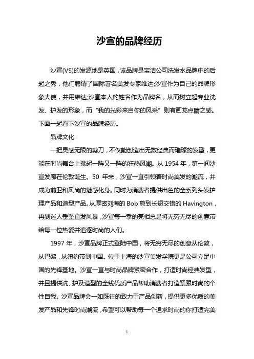 沙宣的品牌经历