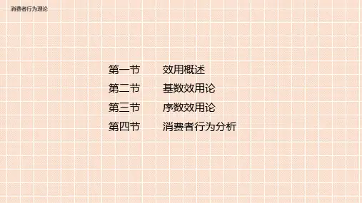 经济学基础-消费者行为理论