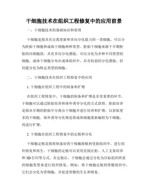 干细胞技术在组织工程修复中的应用前景