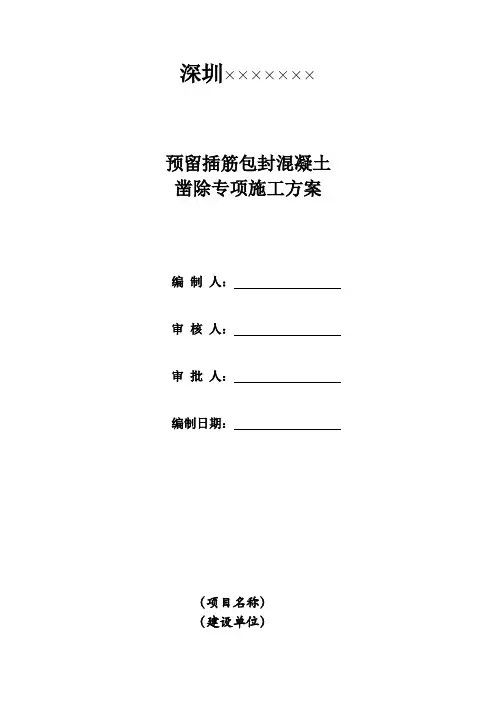 包封混凝土凿除施工专项方案
