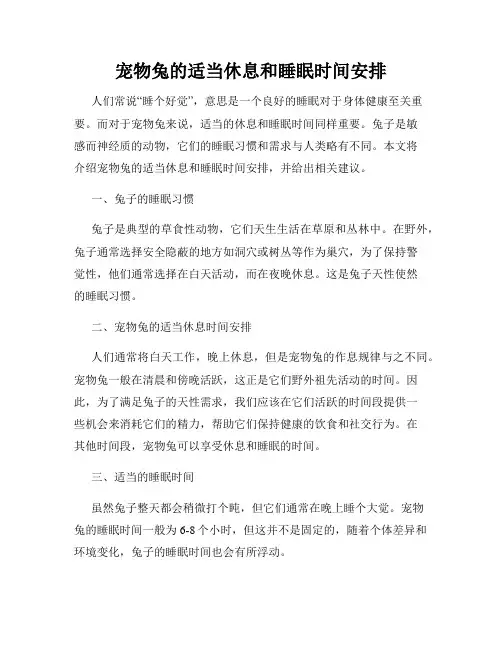 宠物兔的适当休息和睡眠时间安排