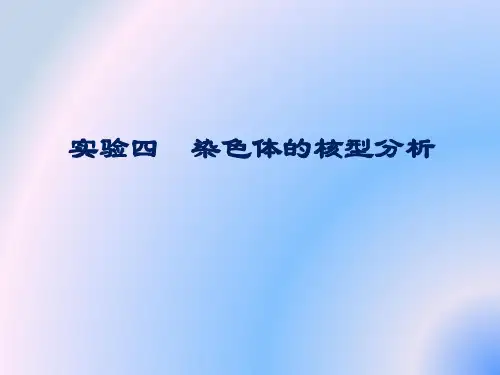 实验四染色体的核型分析