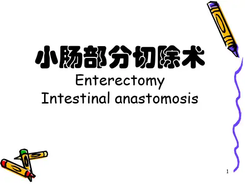 小肠切除术医学PPT课件