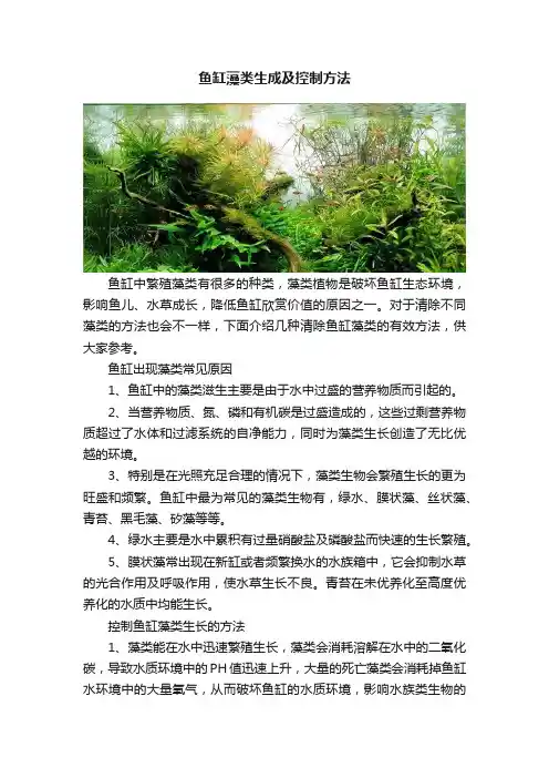 鱼缸藻类生成及控制方法