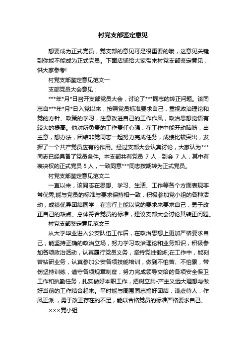 村党支部鉴定意见