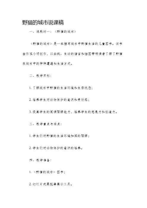 野猫的城市说课稿